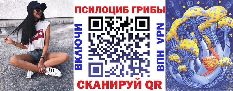 Псилоцибиновые грибы Cubensis  мега tor  Короча  наркота 